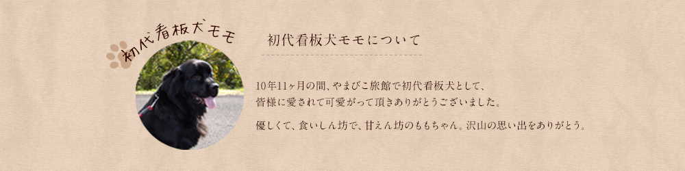 初代看板犬モモについて