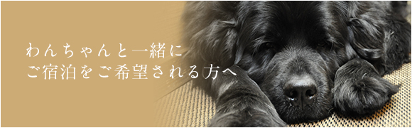 ワンちゃんと一緒にご宿泊を希望される方へ