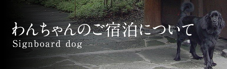 お子様のご宿泊について